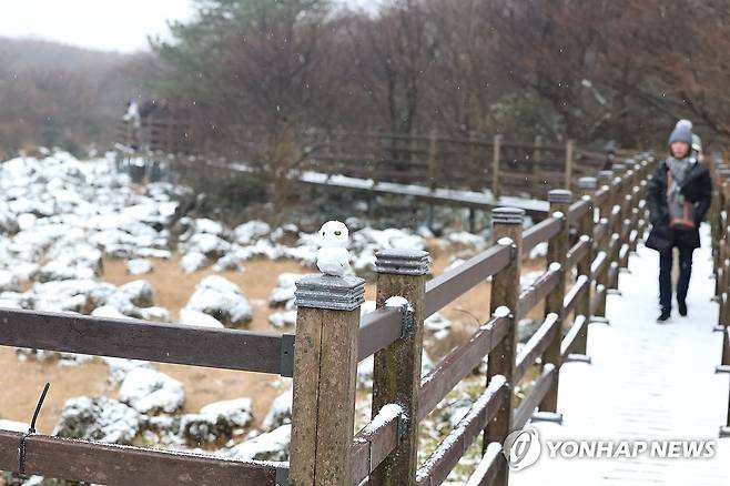 첫눈 내린 한라산 1100고지 (제주=연합뉴스) 박지호 기자 = 18일 오전 제주 한라산 국립공원 1100고지 습지에 첫눈이 내려 외국인 관광객들의 눈길을 사로잡고 있다. 2025.11.18 jihopark@yna.co.kr