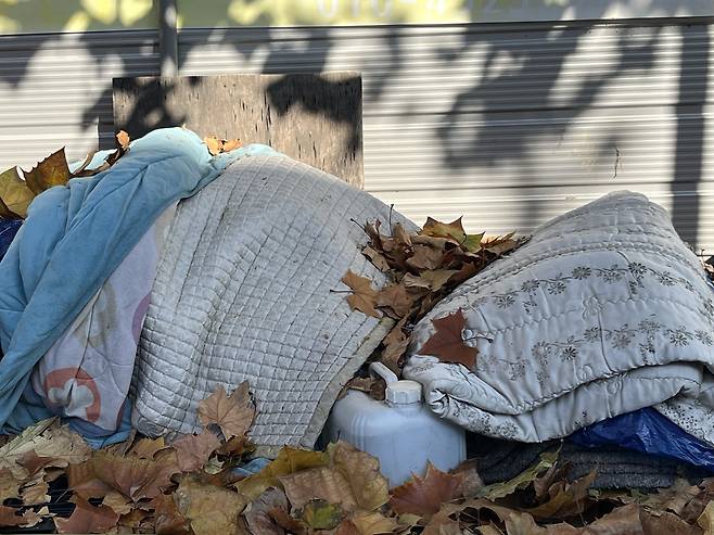 과일·채소 덮을 이불 [촬영 황수빈]