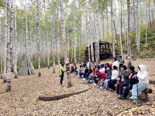 인제 원대리 자작나무숲에서 숲해설가의 설명을 듣는 관광객들. /인제군청·인제국유림관리소 제공