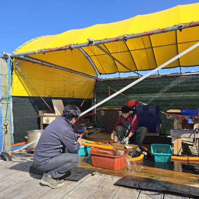 모 방송국에서 최연소 어촌계장의 하루를 촬영하는 모습.(사진=전종원 기자)