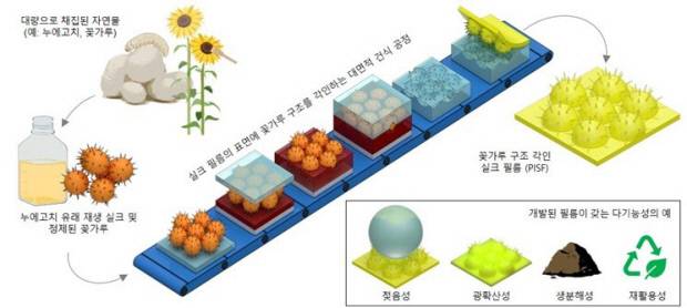 자연 유래 고기능성 필름의 개념 및 특화 제조공정을 나타내는 모식도. 사진=국립금오공대 제공