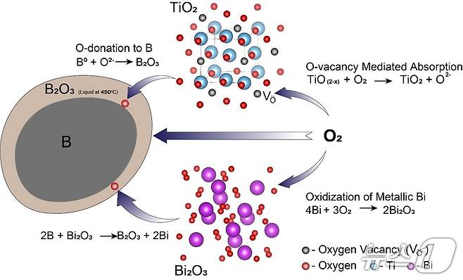 신원규 교수팀 연구 /뉴스1