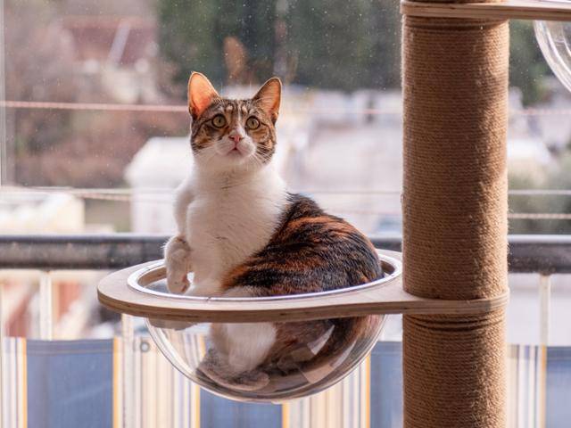 게티이미지뱅크