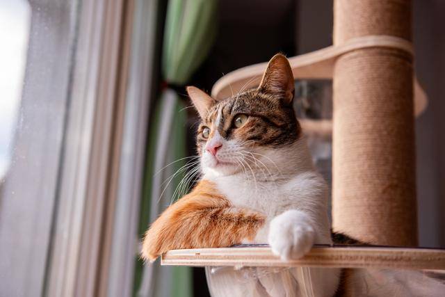 게티이미지뱅크