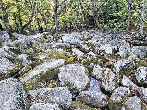 ‘대성은수’라고 불리는 대성암 앞 계곡을 뒤덮은 너덜.