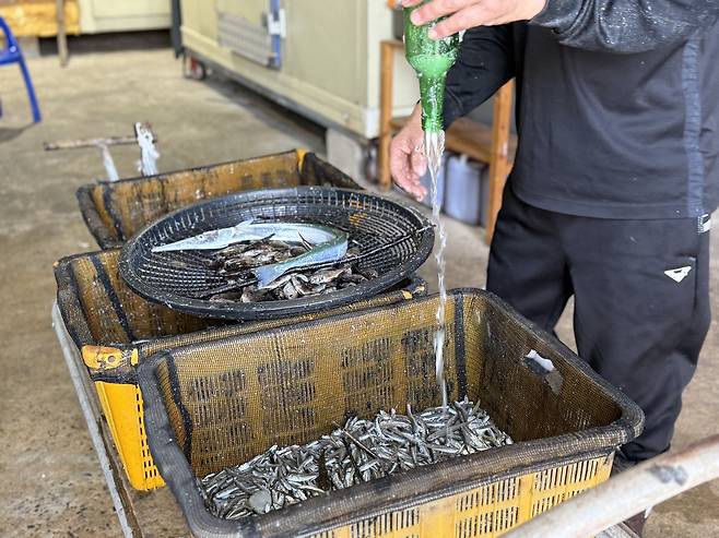 A man sorts anchovies, bycatch and marine trash at a processing facility in Namhae, South Gyeongsang, on Nov. 5. [LEE SOO-JUNG]