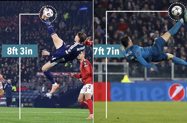 출처=더선 홈페이지 캡쳐