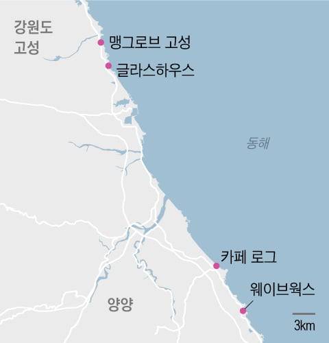 그래픽=조선디자인랩 김영재