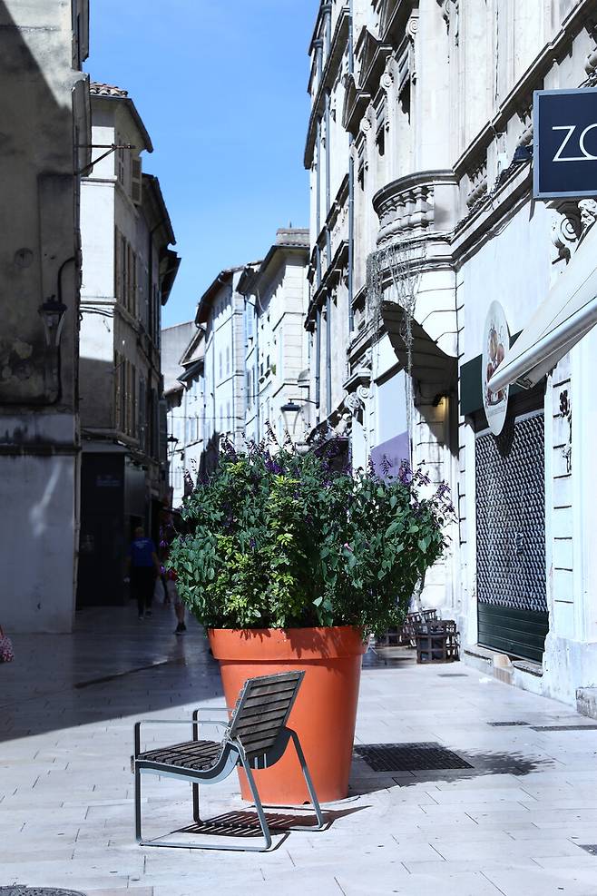 아비뇽 거리 풍경. 박미향 기자