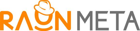 [사진=라온시큐어]