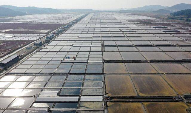 전남 신안군 증도 태평염전. 연합뉴스