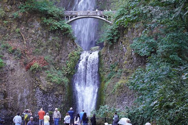 목재산업으로 부흥하기 시작한 포틀랜드 컬럼비아강 협곡, 멀트노마 폭포는 공주의 은밀한 목욕탕 전설을 품고 있다. 나뭇꾼과 선녀탕 같은 곳이다.