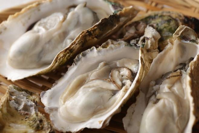 굴 자료사진. 123rf.com