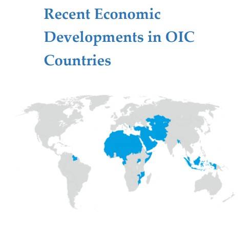 이슬람협력기구(OIC) 산하 SESRIC 보고서의 OIC회원국 지도  [SESRIC 보고서 캡처. 재판매 및 DB 금지]