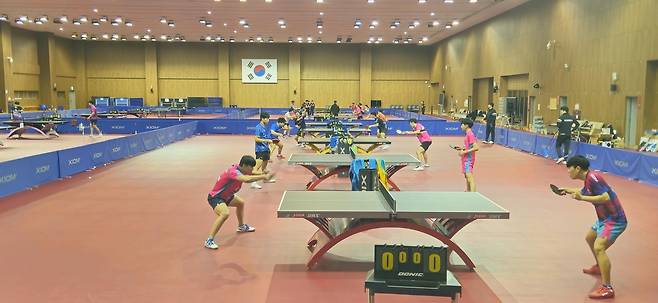 훈련하는 탁구 청소년대표팀 선수들 [대한탁구협회 제공. 재판매 및 DB 금지]