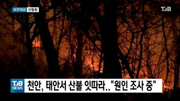 천안, 태안서 산불 잇따라.."원인 조사 중"