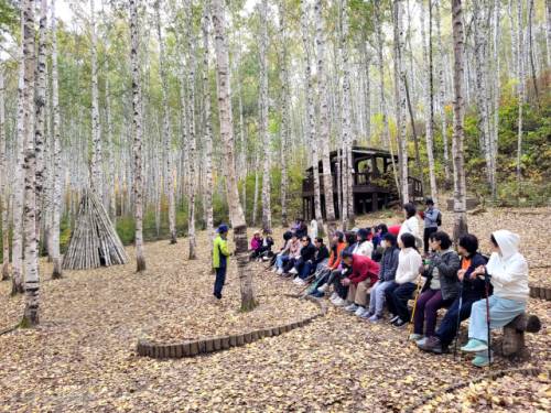 인제 원대리 자작나무숲에서 숲해설가의 설명을 듣는 관광객들.