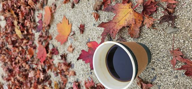 가창면 최정산 정상부에 자리 잡은 파크 700에서 포착한 단풍과 커피.