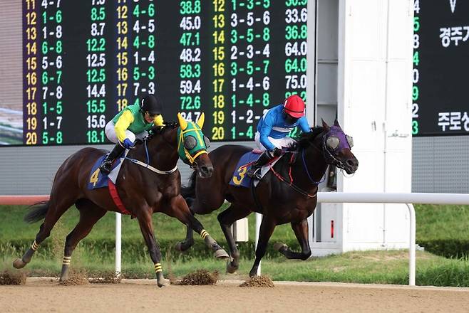 부산광역시 강서구청장배 우승마 와일드파크(3번마)와 서승운 기수.(사진 한국마사회 제공)