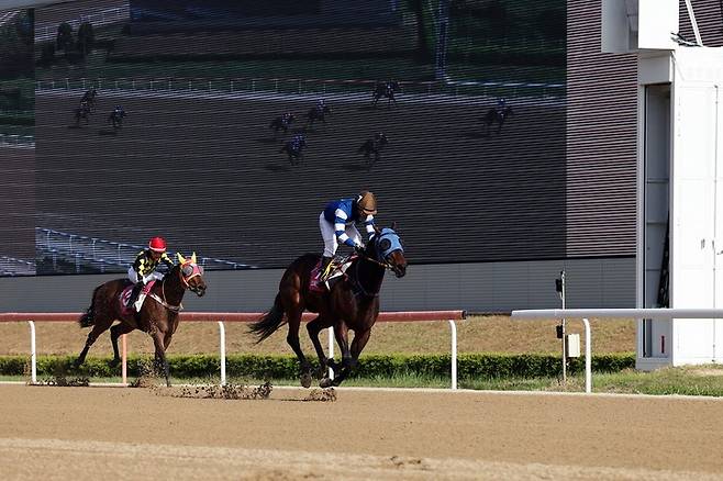 부산광역시 강서구청장배 우승마 와일드파크(3번마)와 서승운 기수.(사진 한국마사회 제공)