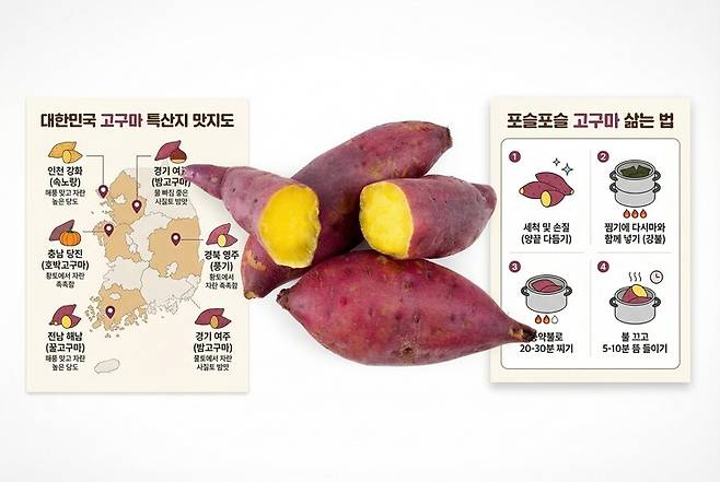 나노 바나나 프로로 생성한 고구마 인포그래픽