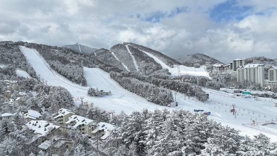 강원 평창군 대관령면 용산리에 있는 모나용평도 21일 본격적인 스키 시즌을 시작했다. [사진 모나용평]