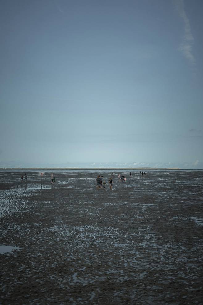 사진 = 언스플래쉬