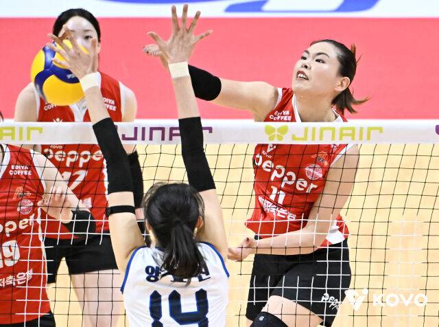 공격하는 시마무라./KOVO