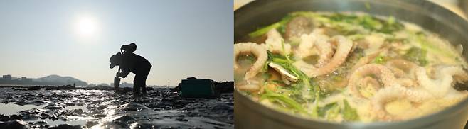 '동네 한바퀴' 사강시장 생낙지 연포탕 & 칼국수