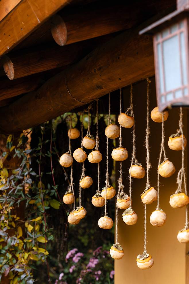 주변 감나무의 감을 따 말리는 풍경도 정겹다. 물론 장식용이다. / 이건송 영상미디어 기자