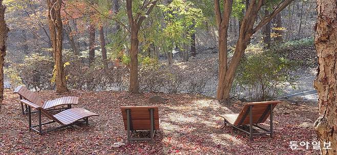 숲으로 이어지는 길목의 의자에 기대 누우면 자연이 보이고 들린다. 포천=김선미 기자 kimsunmi@donga.com