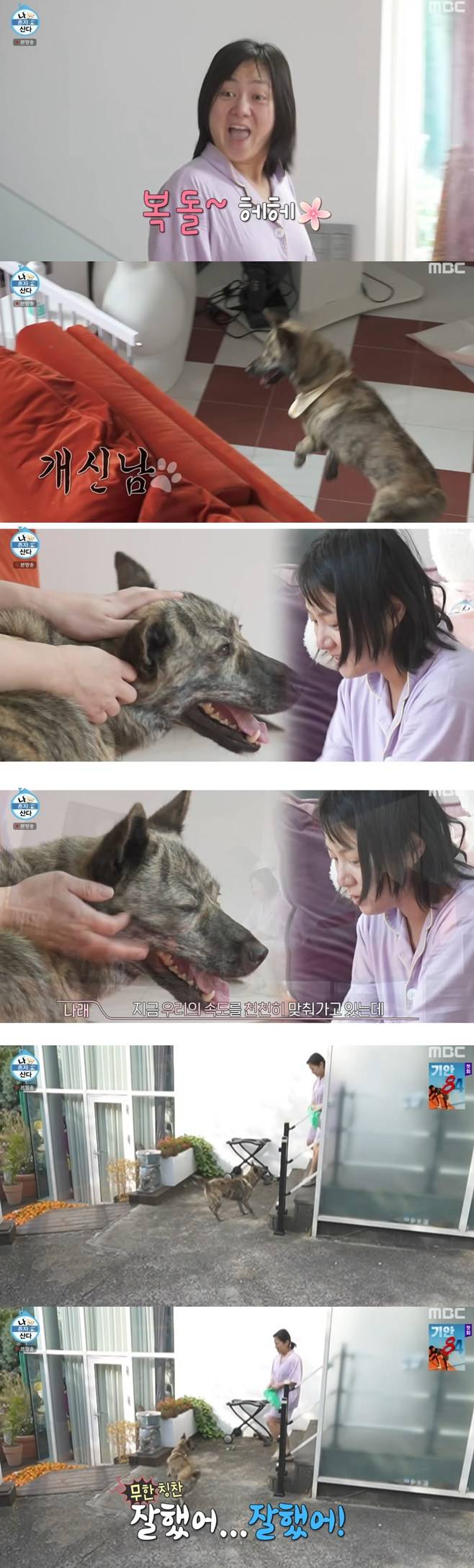 티브이데일리 포토