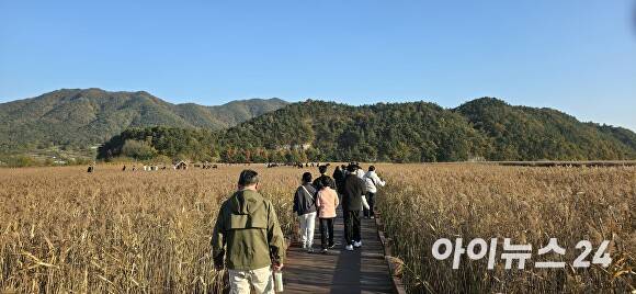 지난 22일 주말을 맞아 전남 순천만 습지 갈대밭을 찾은 관람객들이 늦가을을 만끽하고 있다. [사진=임승제 기자]