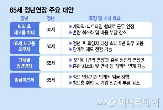 65세 정년연장 주요 대안/그래픽=김지영