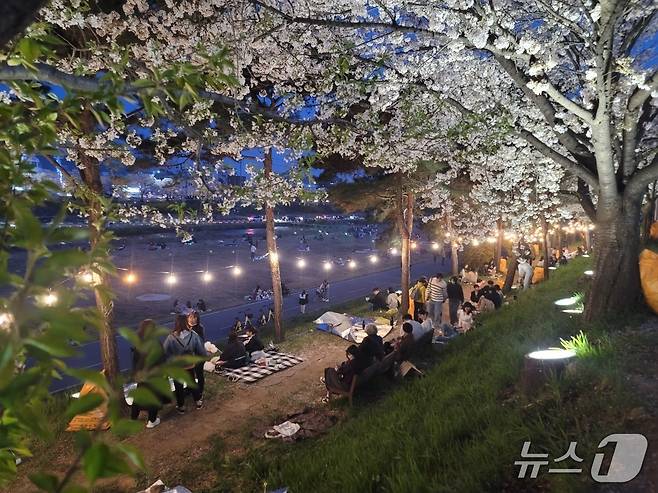 벚꽃과 함께하는 제3회 청주 푸드트럭 축제 모습.(청주시 제공. 재판매 및 DB금지)/뉴스1