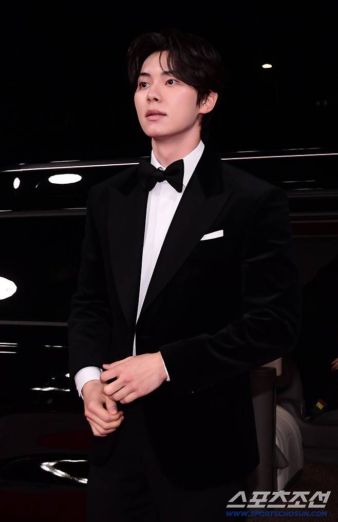 제46회 청룡영화상 시상식이 19일 여의도 KBS홀에서 열렸다. 이채민이 레드카펫을 빛내고 있다. 정재근 기자 cjg@sportschosun.com/2025.11.19/