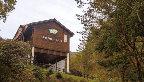국립 양평 치유의 숲(사진 경기관광공사)