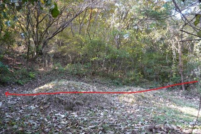 ▲ 위성사진 B에 해당.