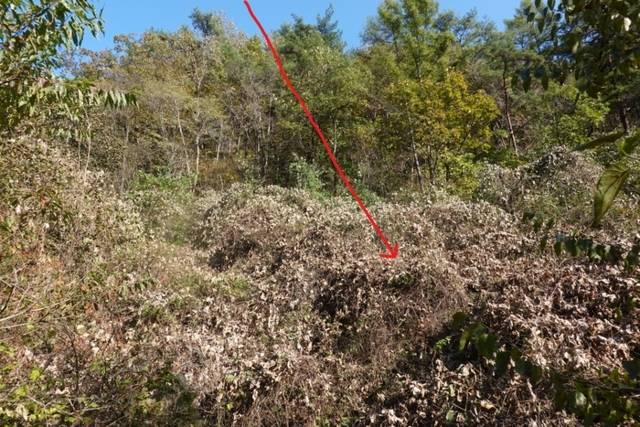 ▲ 위성사진 A에 해당하는 지점.