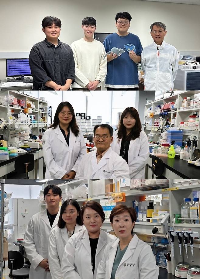 이번 연구를 수행한 공동연구진. (윗쪽 오른쪽부터) KAIST 최경철 교수, 노병주 박사, 정영훈 박사과정, 박민우 석박통합과정. (가운데 오른쪽부터) 한국뇌연구원 이지은 연구원, 구자욱 박사, 이지윤 연구원. (아래쪽 오른쪽부터) 한국뇌연구원 허향숙 박사, 이현주 박사, 강소라 박사, 오석준 연구원.[KAIST 제공]