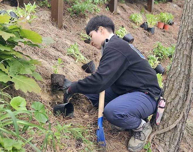 전시원 조성하는 수목원전문가 교육과정 참여 교육생 [산림청 제공. 재판매 및 DB 금지]