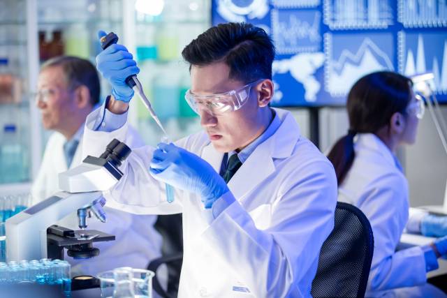 클립아트코리아