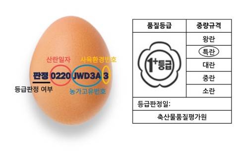 계란 난각번호와 품질 등급 계란 난각번호와 품질 등급 [축산물품질평가원. 재판매 및 DB 금지]
