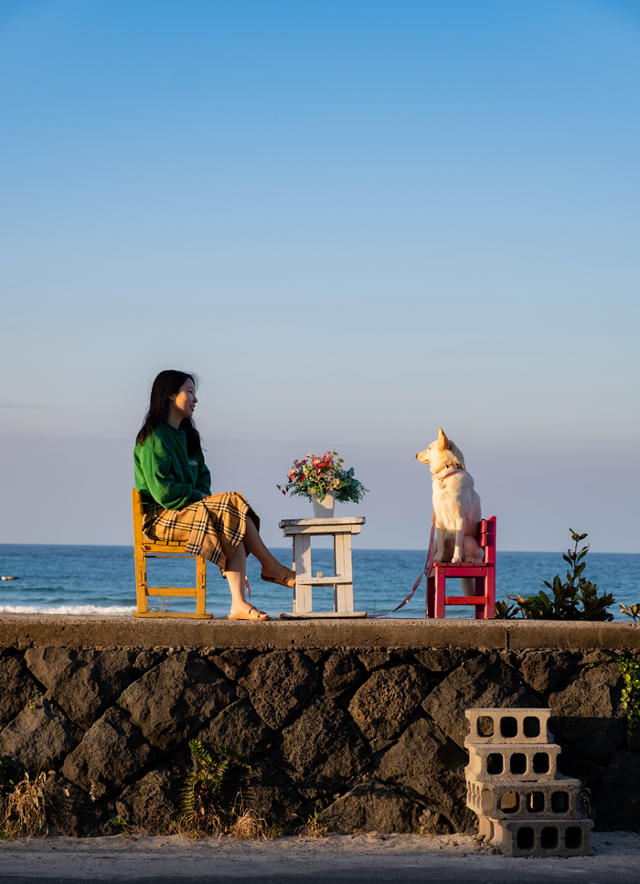 제주도 가서 찍은 쭈니와의 견생샷. 보호자 제공