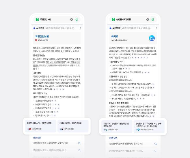 네이버 공공 분야 검색 결과 예시 화면 [사진=네이버]