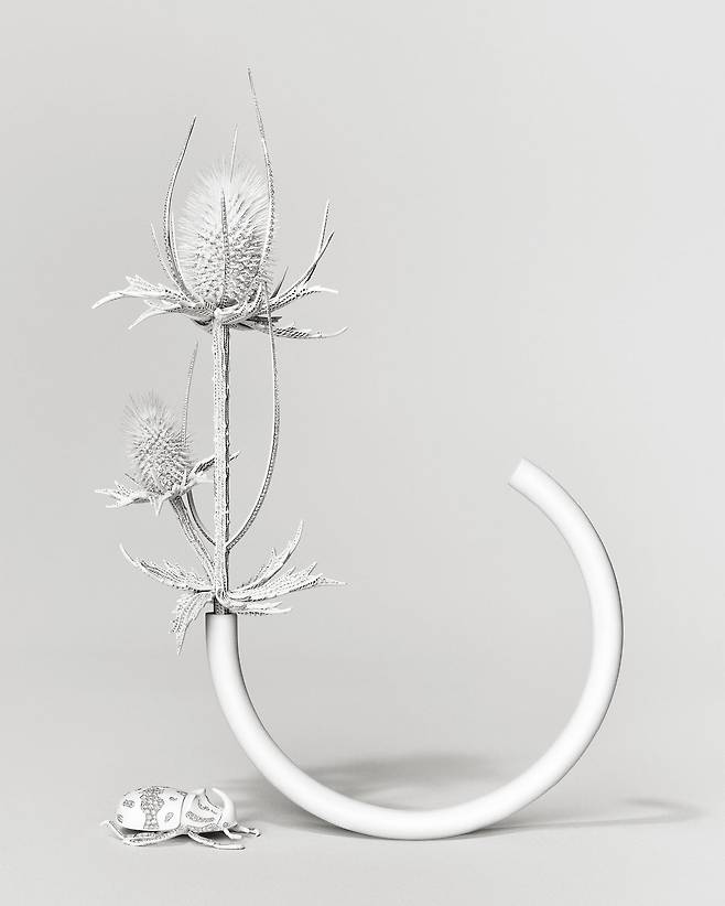 ‘Composition N°5’의 엉겅퀴.