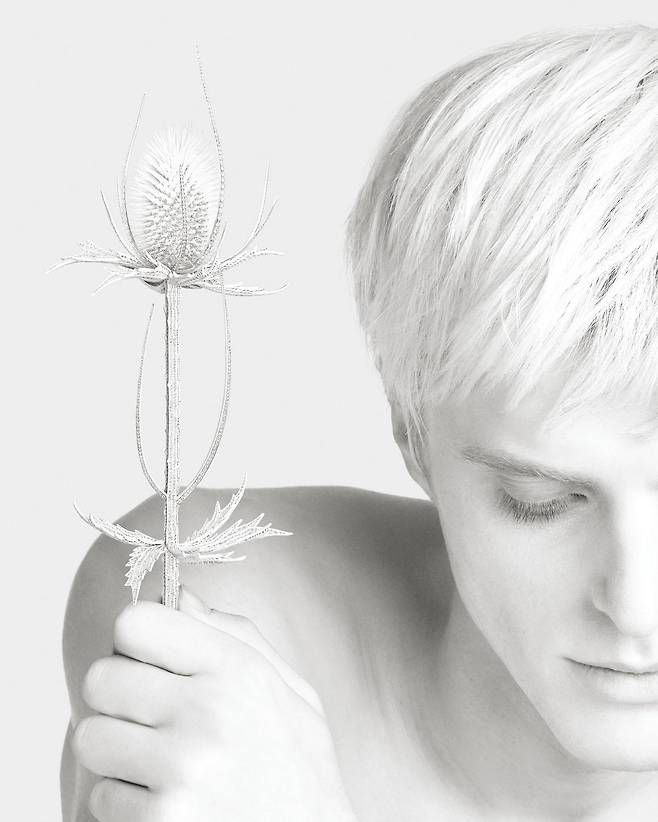 ‘Composition N°5’의 장수풍뎅이 브로치.