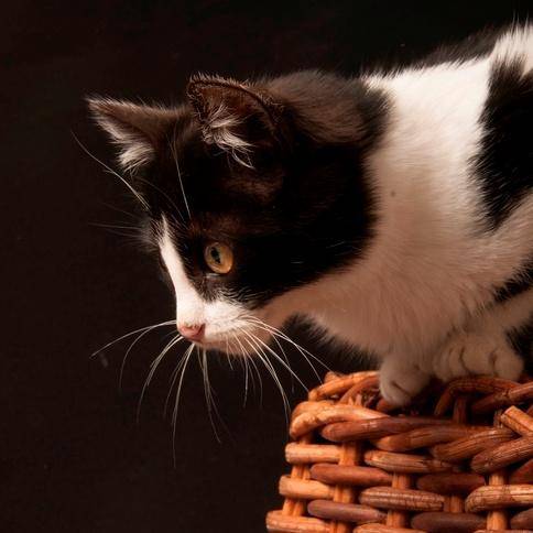 게티이미지뱅크