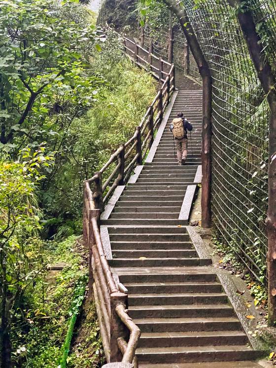 중국 불교 4대 성지인 어메이산을 오르는 11시간 동안 계단 지옥에 갇혔다.