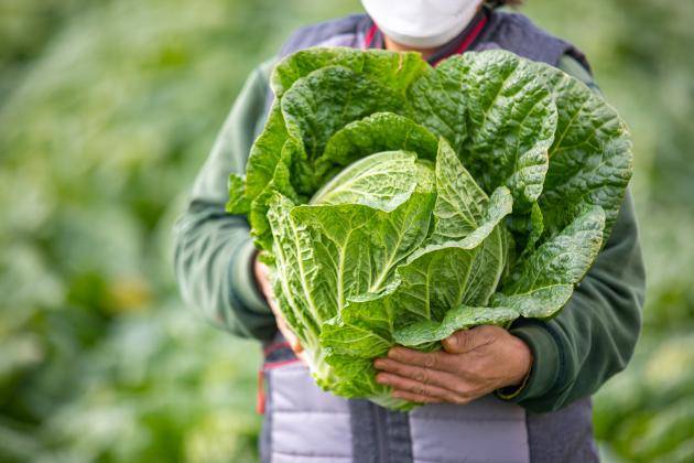 /클립아트코리아